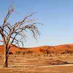 The Earth is Not “Drying Out,” Associated Press