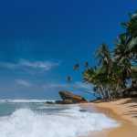 No, Rising Seas Are Not Swallowing Island Nations