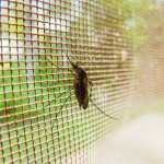 Stop Misinforming about Malaria’s Spread, Washington Post