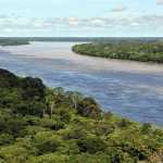 Wrong, New York Times and BBC, A New Study Doesn’t Prove Climate Change Is Causing the Amazon’s Drought