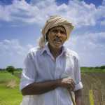 Sorry, Reuters, ‘Erratic’ Indian Weather Brings Record Crop Yields