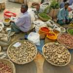 Bangladesh Is Enjoying Record Crop Yields, Despite Media Falsehoods