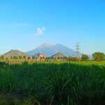 Sorry, Google News, Climate Change Boosts Crop Production, Reduces Migration