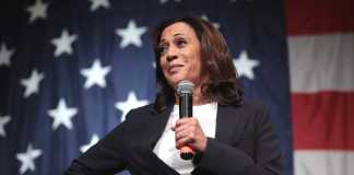 Kamala Blames Global Warming Rather than Covid Policies for Christmas Logistical Disruptions