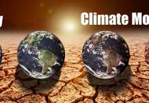 Two Studies Confirm Climate Models Are Overheated