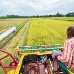 Never Fear, Nigeria, Crop Production Is Growing Amidst Climate Change