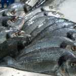 NBC Claims Seafood Climate Crisis – As Production Keeps Setting Records