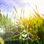 Nigeria May Need Bio-Tech Crops, but Not Because of Climate Change