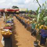 CNBC Flunks Climate Truth Test Again, This Time on Ghana’s Crops