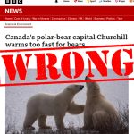 Wrong BBC – No Evidence for Your Claim that Churchill is Simply Getting Too Warm for Polar Bears