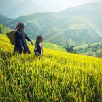 Get the Facts Straight, CNBC, Climate Change Is Not Harming Cambodia’s Crops