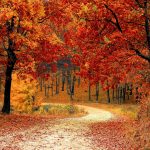 Contra Yahoo News, “Weather Whiplash” is not Threatening Autumn Weather