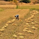 Wrong, Bloomberg, India is NOT Becoming More Vulnerable to Extreme Weather