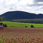 Wrong, World Grain, Indian Crop Data Shows Production Is Increasing