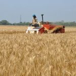 Sorry, PBS, Bangladeshi Farm Innovation Has Nothing to Do with Climate Change