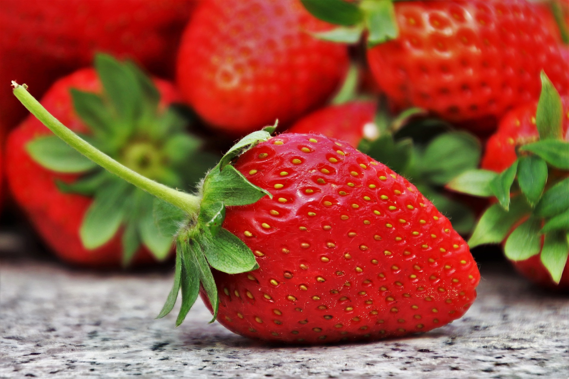 Relax, Fresh Plaza, Florida Strawberry Production Is Growing - ClimateRealism