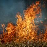 CBS News Peddles Climate Attribution Misinformation on Canada’s Wildfires