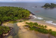 No, Al Jazeera, Climate Change Is Not Worsening Human Trafficking in Sierra Leone