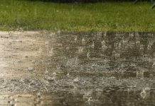 The New York Times Conflates Weather with Climate Change (Again)