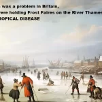 Wrong, Mainstream Media, Climate Change Isn’t Spreading Malaria to New Places