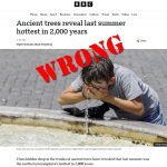 Wrong, Mainstream Media, Tree Rings Aren’t Reliable Indicators of Past Temperatures