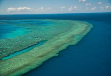 The Resilient Great Barrier Reef: Analyzing the Surprising Recovery Amidst Media Driven Climate Alarmism