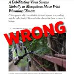 Wrong, New York Times, Climate Change Isn’t Causing a Surge in Mosquito-Borne Diseases