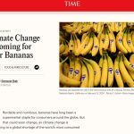 Wrong, TIME Magazine, Climate Change Isn’t Dooming Your Bananas