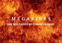 False Stories in the New York Times and the Seattle Times on Western Washington Megafires
