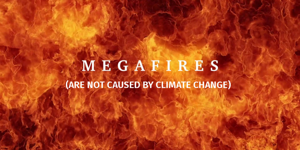 False Stories in the New York Times and the Seattle Times on Western Washington Megafires