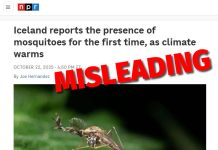 NPR Is Wrong, Iceland’s Mosquitoes Are Imports, Not Climate Refugees
