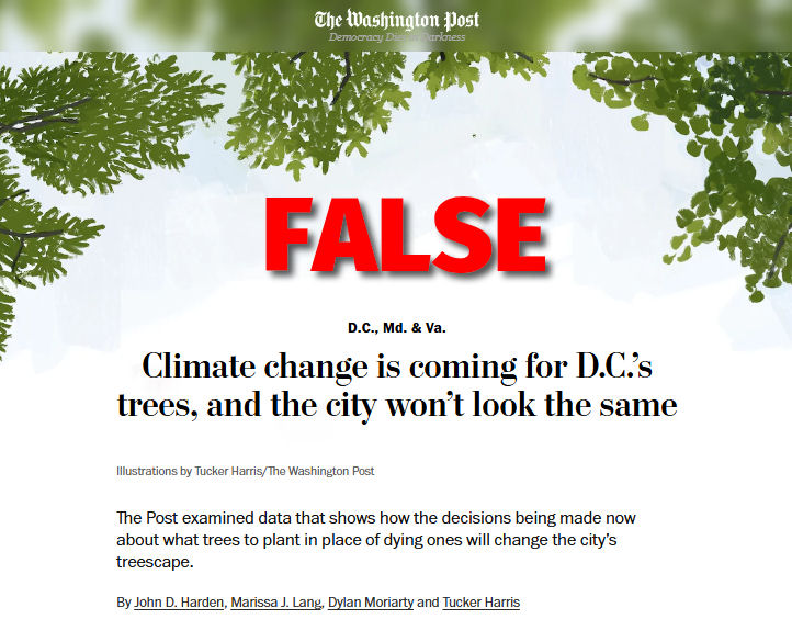 wapo-trees-false