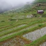El País Lies When Claiming That Climate Change “Threatens the Future of Food,” It Doesn’t