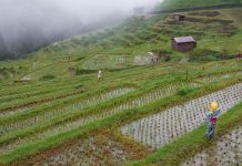 El País Lies When Claiming That Climate Change “Threatens the Future of Food,” It Doesn’t