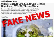 Wrong, Inside Climate News, Climate Change Isn’t Worsening Wildlife Viruses in New Jersey ICN-fake-news-ranavirus