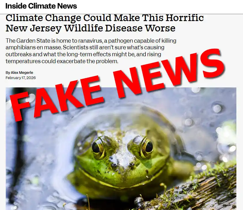 Wrong, Inside Climate News, Climate Change Isn’t Worsening Wildlife Viruses in New Jersey