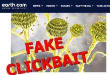 No, Earth.com, Climate Change Isn’t Causing Dangerous Fungus Outbreaks