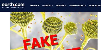 No, Earth.com, Climate Change Isn’t Causing Dangerous Fungus Outbreaks