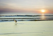 Right, Financial Times, Climate Models Don’t Accurately Reflect Sea Levels