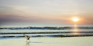 Right, Financial Times, Climate Models Don’t Accurately Reflect Sea Levels