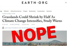 No, Earth.org, Grasslands Are Not on the Brink of Climate Driven Collapse