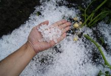 WRONG, Chicago Tribune, Climate Change Isn’t Making Hailstorms Worse