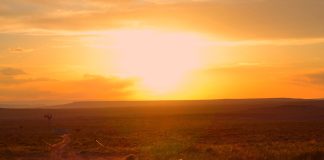 No, Associated Press, This Southwest Heatwave Was Not ‘Virtually Impossible’ Without Climate Change