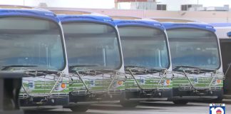 Local 10 Investigates Expensive Electric Buses that Sit in Disrepair in Miami-Dade, Broward
