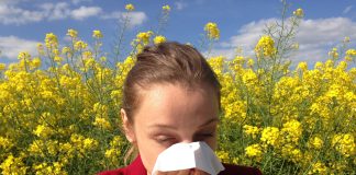Duluth News Tribune Ignores Benefits to Plants from Global Warming, Focuses on Allergies Instead